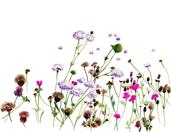 Equestrian Girls Short Sleeve Shirt 'Wildflower'